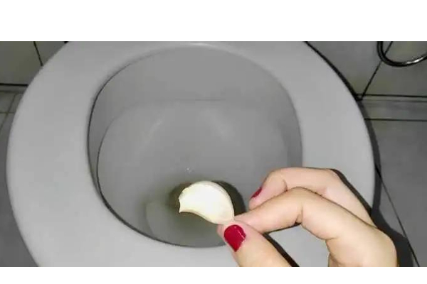 உங்கள் கழிவறையை பளபளக்க செய்ய வேண்டுமா? இந்த ஒரு பல் பூண்டு போதும் | Garlic Helps To Reduce Toilet