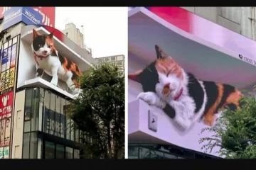 இது நிஜ பூனையா? - ஜப்பானியர்களை வியப்பில் ஆழ்த்திய 3-D-பூனை!