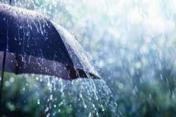 பெரும்பாலான பகுதிகளில் இடியுடன் கூடிய மழை