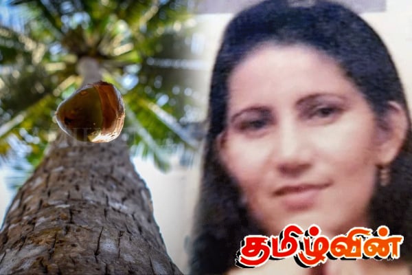 இலங்கையில் நேர்ந்த துயரம் - பெண்ணின் உயிரை பறித்த தேங்காய் | Woman Dies After Falling Coconut