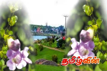 நூறு ஆண்டுகளின் பின்னர் இலங்கையில் கண்டுபிடிக்கப்பட்ட பூ