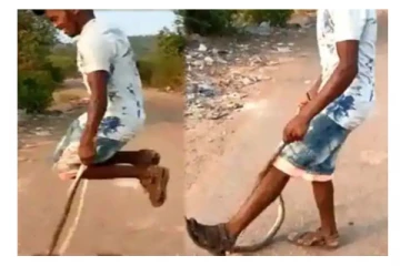 விஷப்பாம்பை பாடாய்படுத்தும் சிறுவன்: கொதித்தெழுந்த நெட்டிசன்கள்