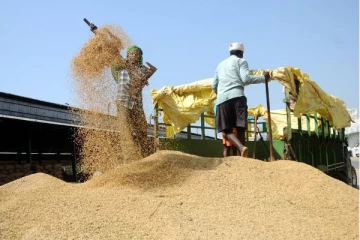 மாயமான பெரும் தொகையிலான அரிசி : சம்பந்தபட்ட அதிகாரிகள் பணி இடைநீக்கம்