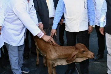 இந்தியாவின் முதல் குளோனிங் பசுங்கன்று