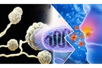 கருப்பு பூஞ்சையில் இருந்து தப்பிக்க இதுபோன்ற இடங்களுக்கு செல்ல வேண்டாம்!