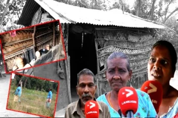 நடந்து செல்பவர்களுக்கு வேலை இல்லை! இறுதி யுத்தத்தில் பாதிக்கப்பட்டவர்களின் அவலநிலை(Video)