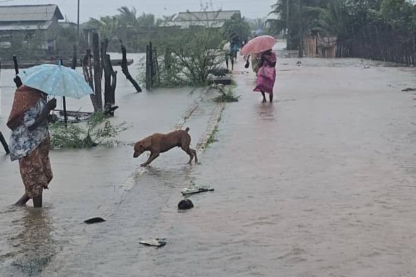 வெள்ள நீரால் யாழில் ஏற்பட்டுள்ள பாதிப்பு | Bad Weather Jaffna வெள்ள நீரால் யாழில் ஏற்பட்டுள்ள பாதிப்பு | Bad Weather Jaffna
