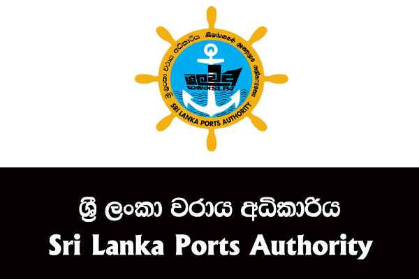 துறைமுக அதிகார சபைக்கு புதிய தலைவர் நியமனம் | New Chairman Appointed Port Authority Board துறைமுக அதிகார சபைக்கு புதிய தலைவர் நியமனம் | New Chairman Appointed Port Authority Board