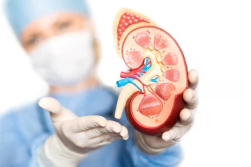 சிறுநீரக நோய் வராமல் தடுக்க வேண்டுமா?  இந்த உணவுகளை அவசியம் உங்கள் டயட்டில் சேர்த்துகோங்க