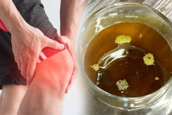 மூட்டு வலிக்கு நிரந்தர தீர்வு தரும் மூலிகை எண்ணெய்.., எப்படி தயாரிப்பது? | Home Made Herbel Oil For Knee Pain In Tamil