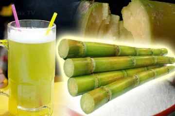 நீரிழிவு நோயாளிகள் கரும்பு சாறு குடித்தால் என்ன ஆகும் தெரியுமா? அவசியம் தெரிந்து கொள்ளுங்கள்!