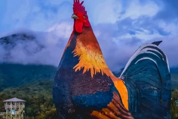 கின்னஸ் உலக சாதனை படைத்த சேவல் வடிவத்திலான உல்லாச விடுதி