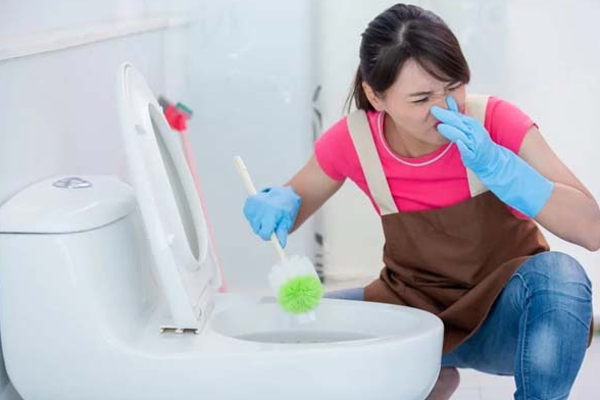 கழிவறையில் துர்நாற்றம் ஏற்படுகின்றதா? கரப்பான் பூச்சி, பல்லி, தவளையை அடித்துவிரட்டும் ஒரே பொருள் | Toilet Lizard Cockroach Bad Smell Easy Remedies