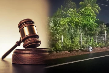 வவுனியாவில் சட்டவிரோத நில ஆக்கிரமிப்பு: அபிவிருத்தி திணைக்களம் பிறப்பித்துள்ள உத்தரவு(Photos)