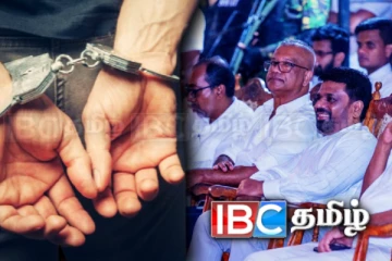 பெரஹெரவில் ஜனாதிபதி இருந்த போது அதிரடியாக கைது செய்யப்பட்ட வெளிநாட்டவர்!