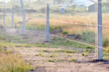 பாதுகாப்பற்ற மின்சார வேலியால் சிறுவர்களுக்கு நேர்ந்த கதி