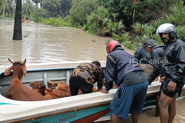 வெள்ளத்தில் தவிக்கும் மன்னார் - அவசர உதவிகள் கிடைக்கவில்லை - மக்கள் குற்றச்சாட்டு | Emergency Aid Not Received In Mannar Area