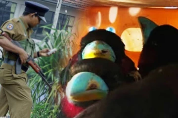 10 மில்லியன் மதிப்புள்ள பறவைகள் கடத்தல்: 4 பேர் கைது - படகும் வானும் பறிமுதல்