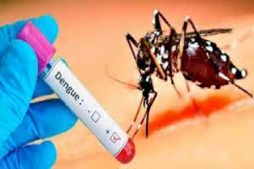 தேசிய டெங்கு கட்டுப்பாட்டு பிரிவு விடுத்துள்ள எச்சரிக்கை!
