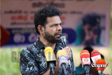 ඩීසල් ලීටරයක මිල රුපියල් 120කින් අඩුයි - නාමල්