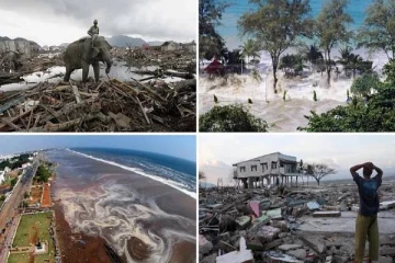 சுனாமி பேரலை தொடர்பில் சமூக ஊடகங்களில் பரவும் தகவல்: வளிமண்டலவியல் திணைக்களம் விளக்கம்