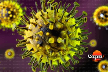 හදිසි අනතුරු ඇඟවීමක් - ශීත කාලගුණයත් එක්ක අලුත්ම වෛරස් රෝගයක්..