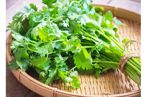 நெற்றி பகுதியில் முடி உதிர்வா... இதை மட்டும் செய்யுங்கள் உடனடிபலன் | Hair Lost Life Style Depression Tips Tamil நெற்றி பகுதியில் முடி உதிர்வா... இதை மட்டும் செய்யுங்கள் உடனடிபலன் | Hair Lost Life Style Depression Tips Tamil