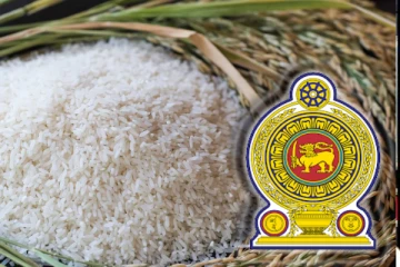 இலவச அரிசி வழங்கும் வேலைத்திட்டம் ஆரம்பம்! விவசாய அமைச்சர்