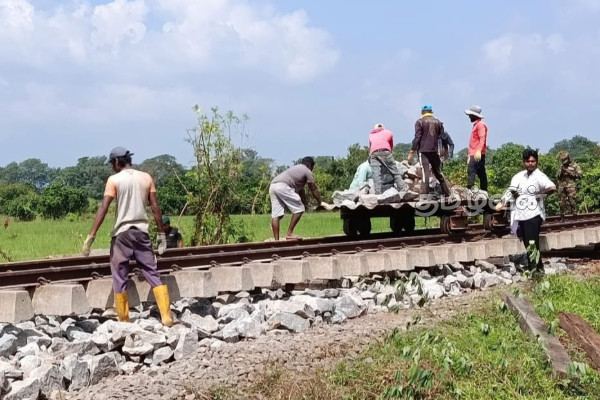 வவுனியா - யாழ்ப்பாணம் தொடருந்து பாதை சீரமைக்கும் நடவடிக்கைகள் ஆரம்பம் | Vavuniya Jaffna Railway Renovation Works Begin வவுனியா - யாழ்ப்பாணம் தொடருந்து பாதை சீரமைக்கும் நடவடிக்கைகள் ஆரம்பம் | Vavuniya Jaffna Railway Renovation Works Begin