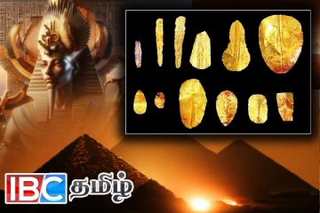 ஆச்சரியத்தில் உறைய வைக்கும் ஆராய்ச்சி: தங்கத்தில் நாக்கு, விரல் நகங்கள் கண்டுபிடிப்பு