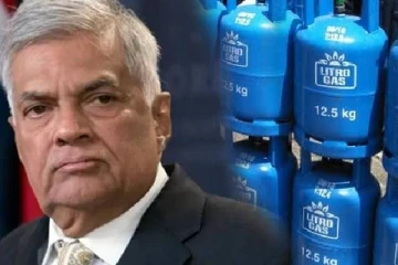 லிட்ரோ நிறுவனம் தொடர்பில் கோப் குழுவிற்கு ரணில் விடுத்த கோரிக்கை!