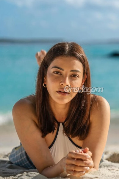பயங்கர விபத்தில் சிக்கினாரா நடிகை காஜல் அகர்வால்... வைரலாகும் தகவல், உண்மை என்ன? | Viral Gossip News About Actress Kajal Agarwal
