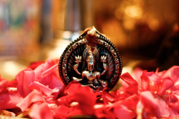 எந்த தெய்வத்திற்கு எந்த நிற பூக்கள் கொண்டு வழிபாடு செய்ய வேண்டும் தெரியுமா? | Which Color Flower Offer To Which God For Worship