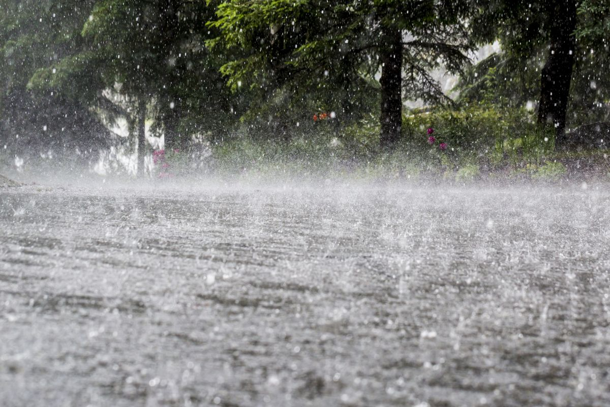 இலங்கையில் நாளை முதல் மழைவீழ்ச்சி அதிகரிக்கும் | Rainfall In Sri Lanka Will Starting Tomorrow
