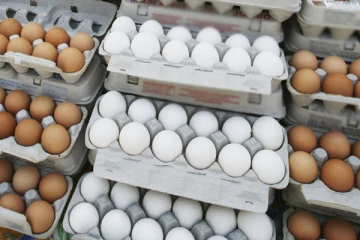 වැඩි මිලට බිත්තර වික්කොත් ලක්ෂය ඉක්මවූ දඩයක්.