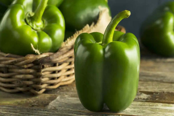 வயிற்று கொழுப்பை கரைக்க இந்த காய்கறிகளை உண்ணுங்கள் | Eat These Vegetables To Melt Belly Fat