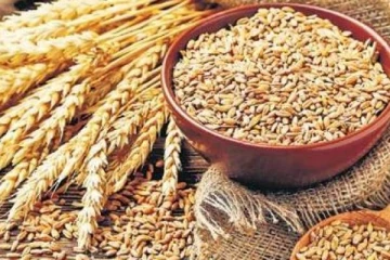 உக்ரைன் போரால் தானிய உற்பத்தியை பெருக்க பிரான்ஸ் எடுக்கும் முக்கிய முடிவு!