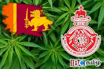 இலங்கையில் கஞ்சா பயிரிட அனுமதி : மருத்துவ சங்கம் கடும் எதிர்ப்பு