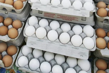 යළිත් කරලියට ආ බිත්තර මිල..