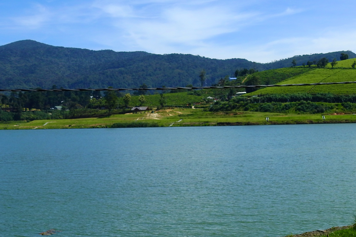 கிரகரி வாவியின் நீரை அருந்தினால் உயிரிழக்கும் அபாயம்! | Risk Of Death If Water Nuwara Eliya Gregory Lake கிரகரி வாவியின் நீரை அருந்தினால் உயிரிழக்கும் அபாயம்! | Risk Of Death If Water Nuwara Eliya Gregory Lake