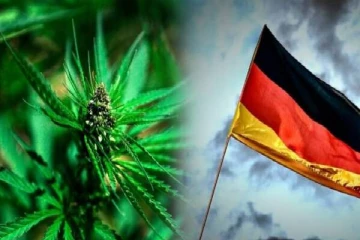 கஞ்சா பயன்பாட்டுக்கு அனுமதி : ஜெர்மனி அதிரடி முடிவு