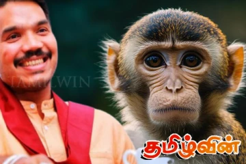 குரங்குகளை கணக்கிடுவதற்கு நாமல் வாழ்த்து