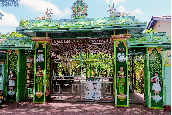 நாடளாவிய ரீதியில் உயர்தர பரீட்சையில் சிறந்த பெறுபேறுகளை பெற்ற மாணவர்கள் | A L Examination Jaffna Vavuniya Students