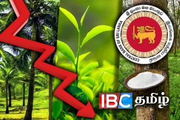 பிரதான ஏற்றுமதி பயிர்களின் உற்பத்தியில் பாரிய வீழ்ச்சி : பொருளாதாரத்துக்கு பெரும் பாதகம்