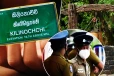 கிளிநொச்சியில் கிணற்றில் தவறி விழுந்து 2 வயதுக் குழந்தை பலி!