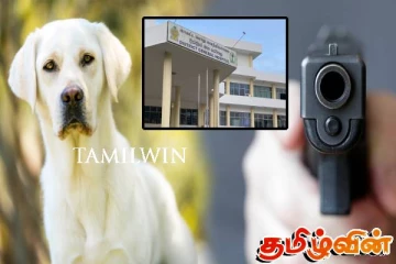 வவுனியா வைத்தியசாலையில் நாய் ஒன்று துப்பாக்கியால் சுட்டுக் கொலை
