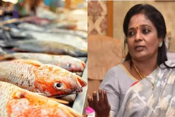 மீனை சைவ உணவாக்கனும்; எளிதில் விட்டுட முடியாது - விடாமல் வலியுறுத்தும் தமிழிசை செளந்தரராஜன்!