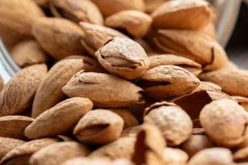 இந்த கொட்டைகளை தினமும் சாப்பிடுங்க…வாழ்நாளில் இதய நோயே நெருங்காது!