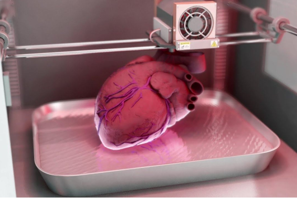 எல்லாமே எல்லை மீறிப்போய்விட்டது... 2026ஆம் ஆண்டு குறித்த வங்கா பாபாவின் மற்றொரு எச்சரிக்கை | Baba Vanga Chilling Predictions About 2026 எல்லாமே எல்லை மீறிப்போய்விட்டது... 2026ஆம் ஆண்டு குறித்த வங்கா பாபாவின் மற்றொரு எச்சரிக்கை | Baba Vanga Chilling Predictions About 2026