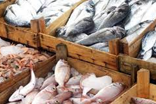 மீன்களை உண்ண வேண்டாம்; எச்சரிக்கும் சுகாதார சேவை | Dont Eat Fish Alert From Health Service